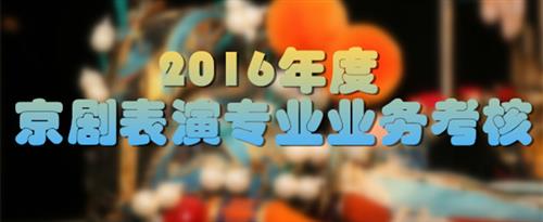 擦逼视频免费观看网站国家京剧院2016年度京剧表演专业业务考...